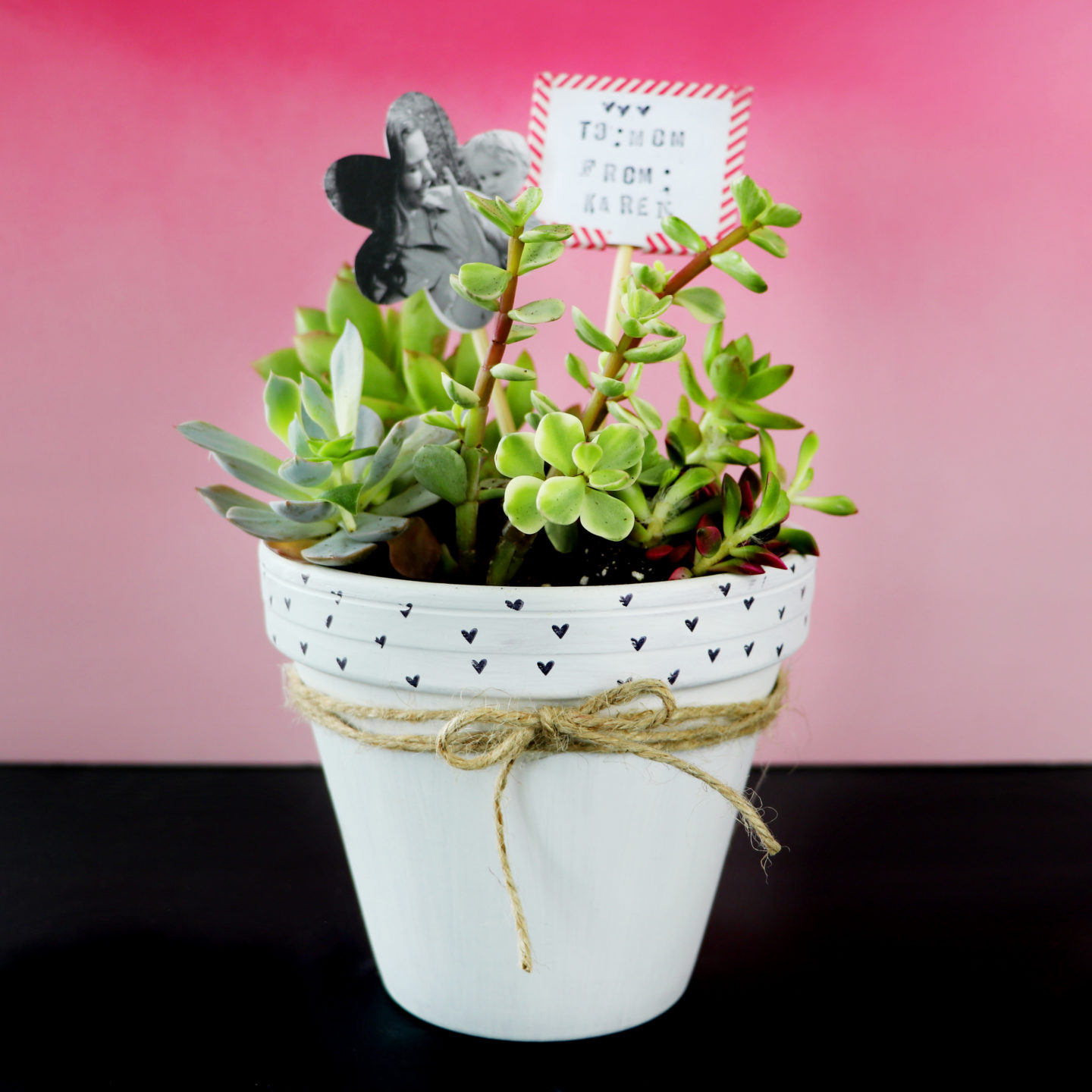 3 Ways to Personalize a Potted Plant Gift for Mother's Day - Karen Kavett